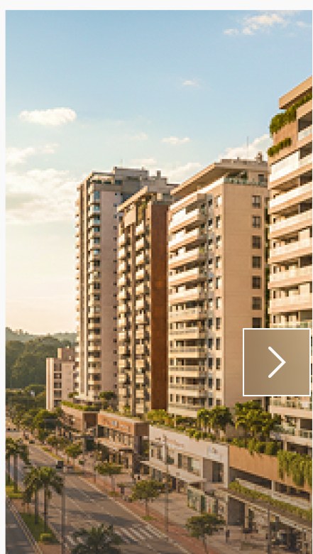 Bairro Velha